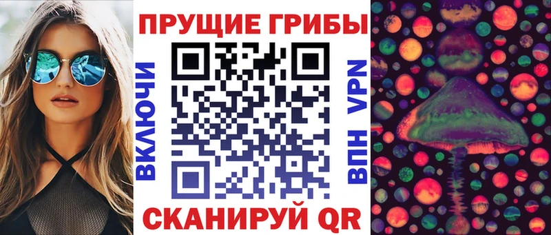 Галлюциногенные грибы прущие грибы  Брюховецкая 